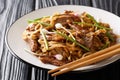 Beef chow funÃÂ is a staple Cantonese dish, made from stir-frying beef, hor fun wide rice noodles and bean sprouts closeup.